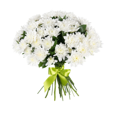 Букет «Белый ангел» – скульптурная чистота белых хризантем Дзержинский Московская область