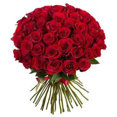 Букет «О, Шарман!» – 51 роскошная эквадорская роза Дзержинский Московская область