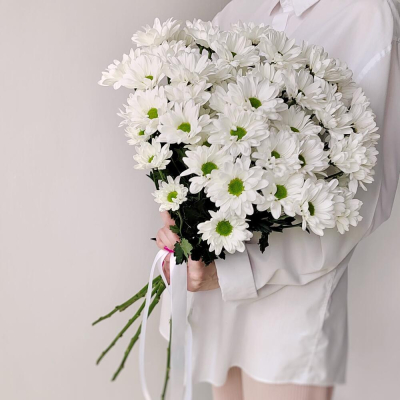 Букет «Ромашка» – 9 белоснежных хризантем в деревенском стиле Дзержинский Московская область